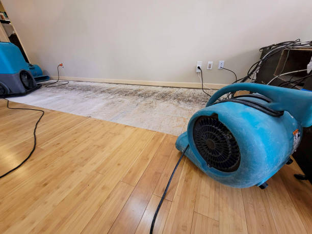 Professional Basement Flood Cleanup technician working in McFarland, WI